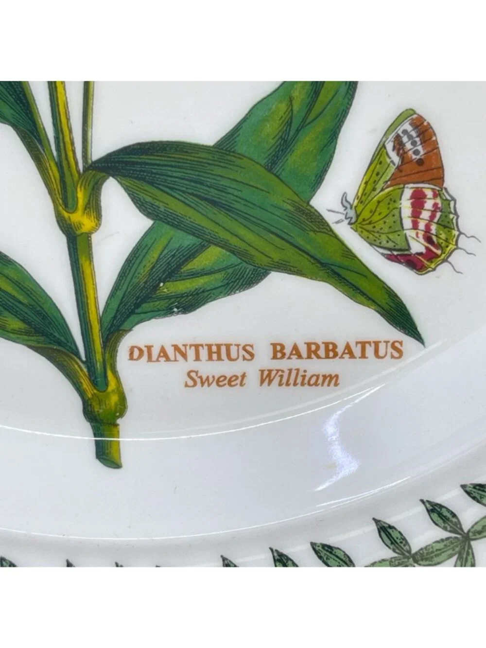 portmeirion botanic garden collection salad plate 